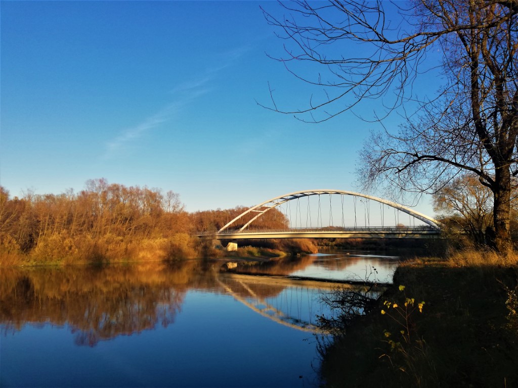 gauja