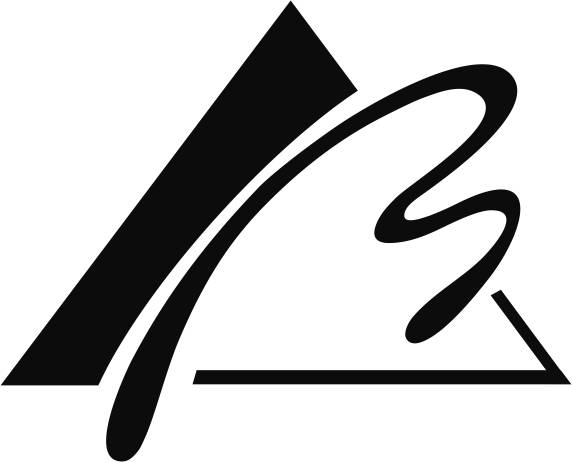 LOGO AMMS